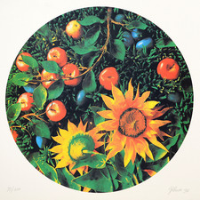 PIERO GILARDI - Mele e girasoli, 1997 - serigrafia a tiratura limitata cm 70x70