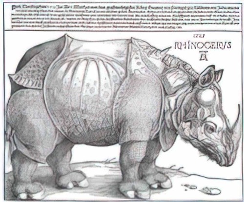 Albrecht durer foto - foto, a4
