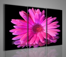 QUADRI MODERNI VIOLET FLOWER