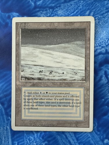 Magic the gathering tundra - the,