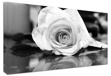 Quadro Moderno Arredamento Fiori Rosa Bianca cm.120x60 Stampa Tela Casa Design