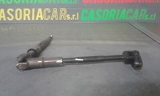 Canna dello sterzo (Piantone)