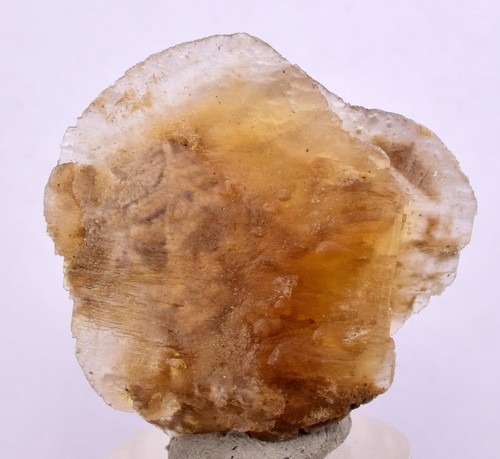 Moneta dollaro selenite - cm,