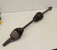 51947833 Semialbero ant
