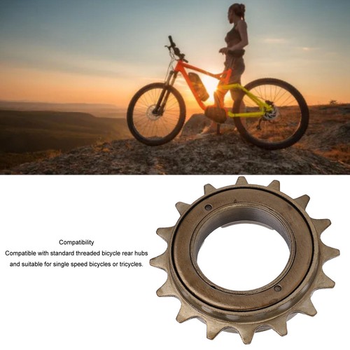 Ruota libera bici