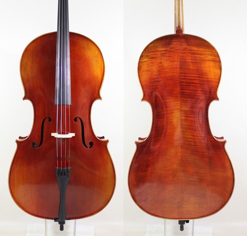 Violoncello maestro suono - maestro,