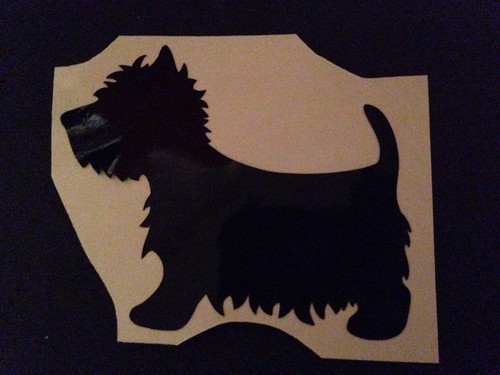 Yorkshire terrier yorky - x2,