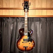 Chitarra elettrica Aria Pro II