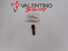 VITE ANTIVIBRANTE MANUBRIO