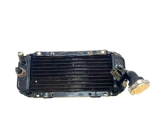 00170333 radiatore acqua kymco - radiatore,