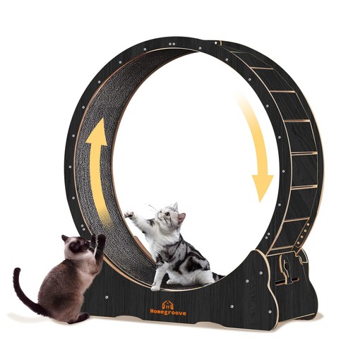 Ruota esercizio gatto - ruota, 43