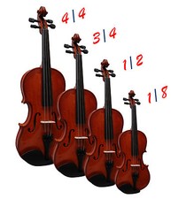 VIOLINO - VIOLINO - NATURALE -