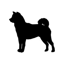 Adesivo decalcomania vinile