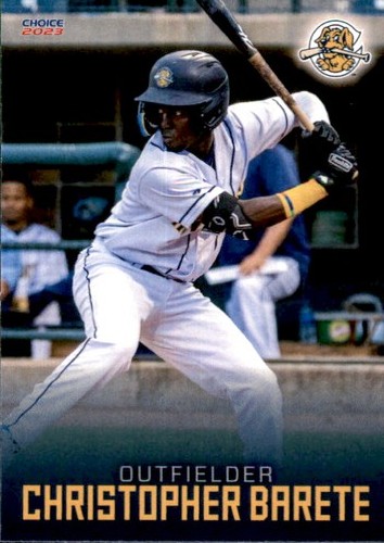 2023 charleston riverdogs - 2023,