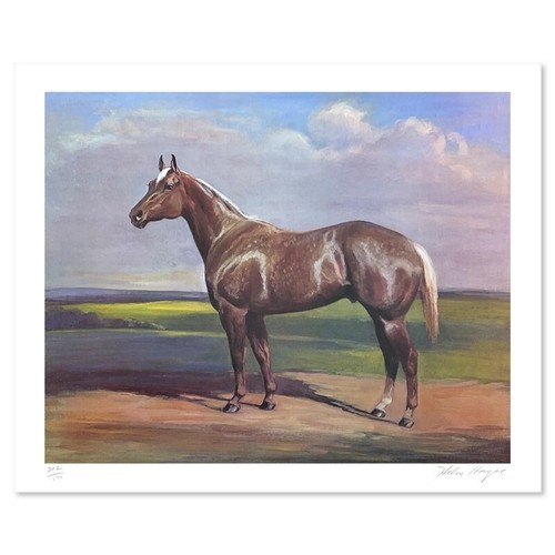 Helen hayse quarter horse - helen,