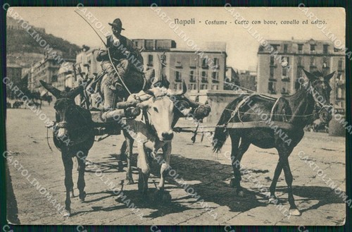Napoli città costumi carro - napoli,
