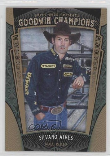 Upper deck 2015 goodwin - deck,