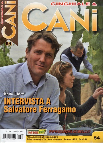Cinghiale cani 2018 54 - cinghiale, &