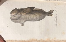 "Storia naturale" - G.L Leclerc Buffon - 1831