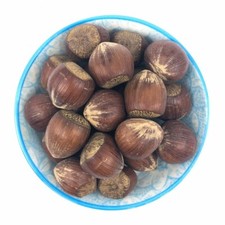 Nocciole in guscio Italiane tostate  - Italia Spezie®