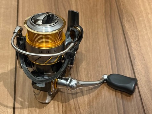Daiwa certificato 2004 - certificato,