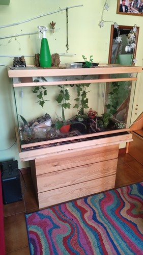 Terrario vetro per rettili - terrario,