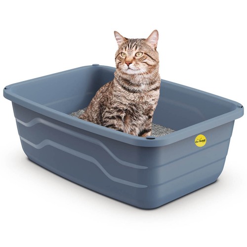 Lettiera per gatti - , grande