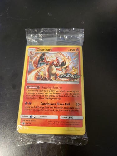 Pokemon 2019 team charizard - 2019,