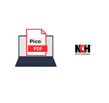 PicoPDF NCH Software, Modifica