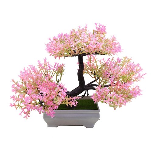 Per decorazione bonsai - per,