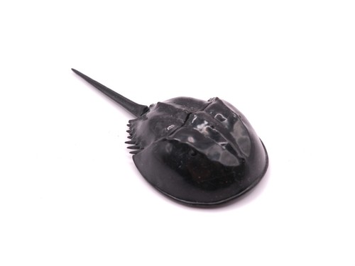 Giappone bandai gashapon ferro - bandai,