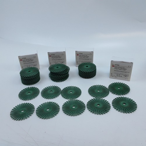 07542 discs radial bristle - discs,