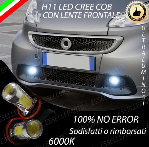 Coppia lampade fendinebbia h11 - lampade,