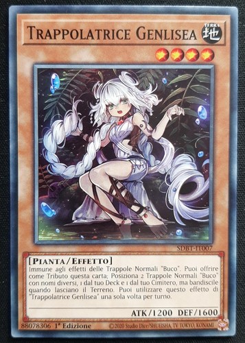 Trappolatrice genlisea in - ,