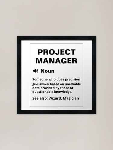 Project manager divertente - manager,