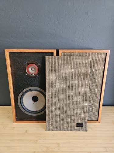 Coppia altoparlanti vintage - coppia, di