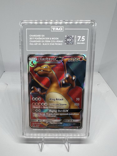 Pokémon tcg charizard sm60 - gx,