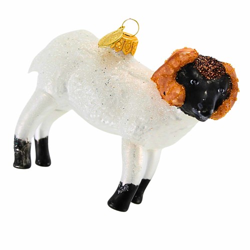 Morawski pollici ram - pollici,