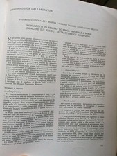 ROMA Mon.Marmo Impero Colonna