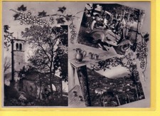 CP - CARTOLINA - RAMANDOLO