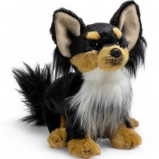 Chihuahua seduto nero e