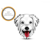 Charm Golden Retriever, Charm