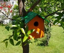 Nido Casetta in legno per uccellini 12x15x16 h 