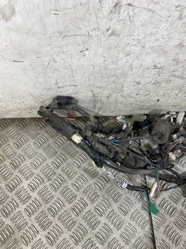 116331 cablaggio impianto - 116331,