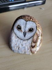 Gufo da fienile rivestito in