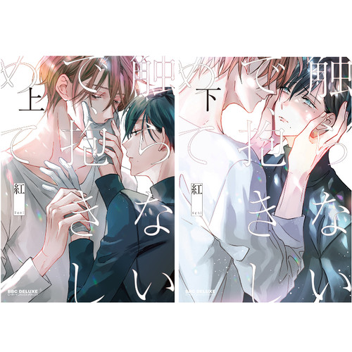 Set fumetti manga giapponese