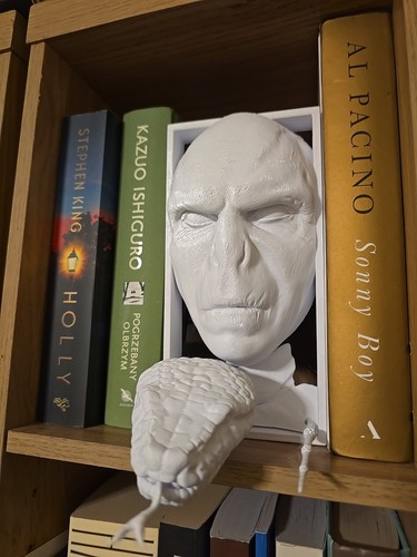 Voldemort harry potter - harry,