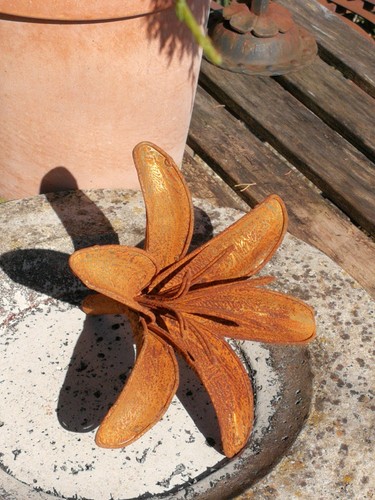 Fiore ruggine giglio spina - di,