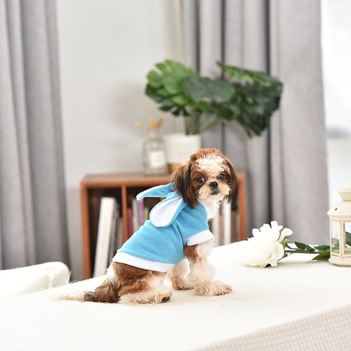 Giubbotto cane vestiti - cane,