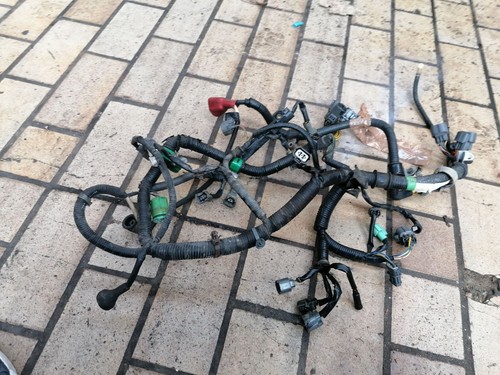 Raro cablaggio cavo - cavo, oem